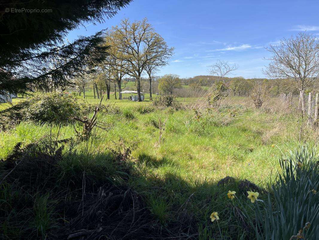Maison à COGNAC-LA-FORET