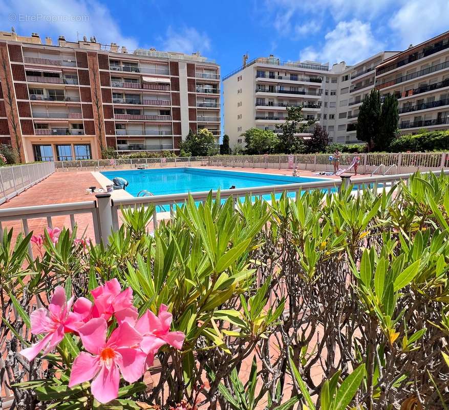 Vue mer, plage , piscine  - photo 11