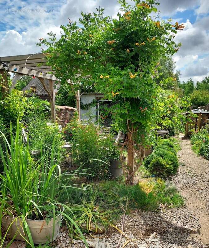 Photo 8 - Maison à CHEVRESIS-MONCEAU