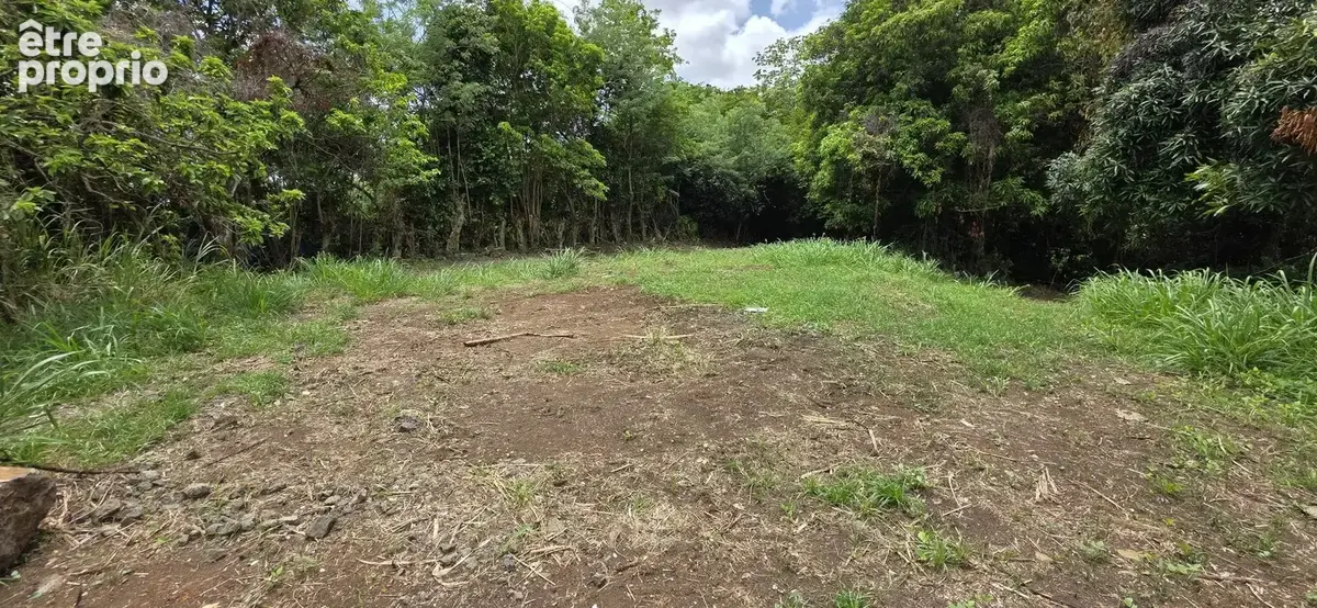 Terrain 1 485 m² à vendre à Le Lamentin (97232) - photo 6