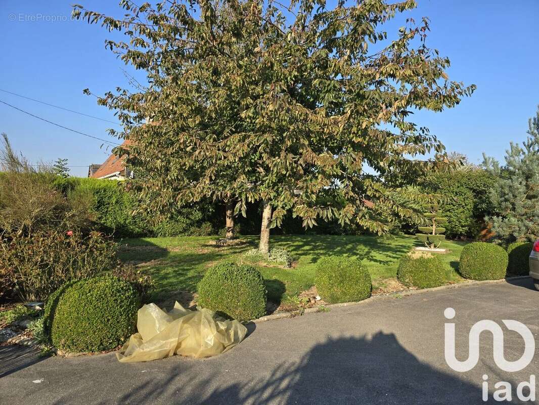 Photo 9 - Maison à AUCHY-LES-HESDIN