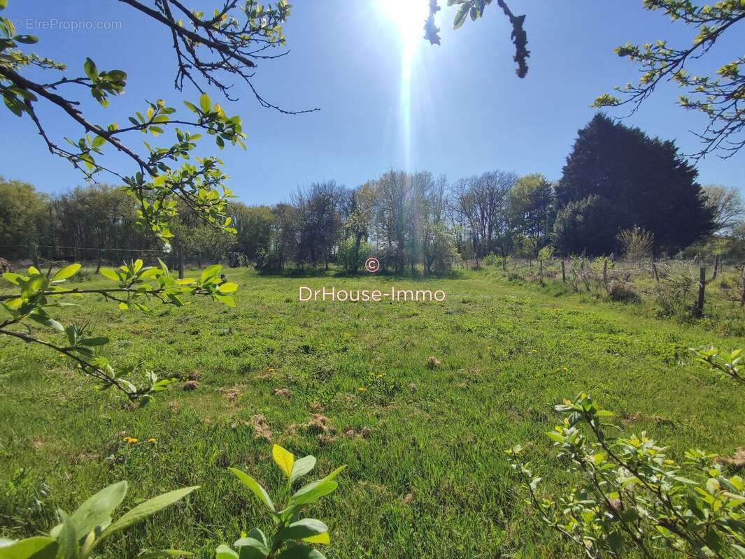 Maison à NOUAILLE-MAUPERTUIS