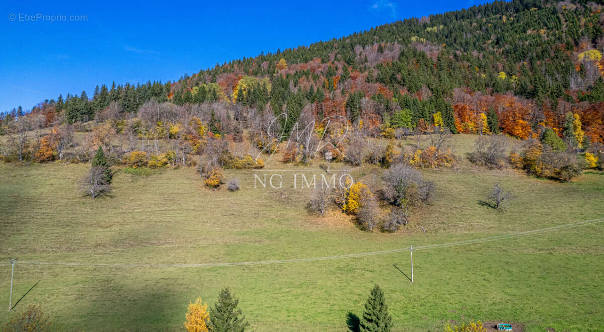Maison à SAINT-JEAN-DE-THOLOME