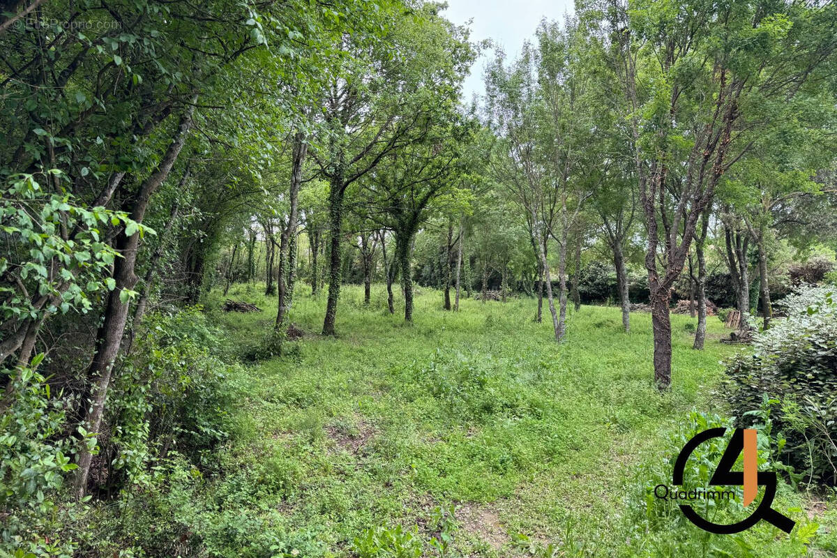 Terrain à ASSAS