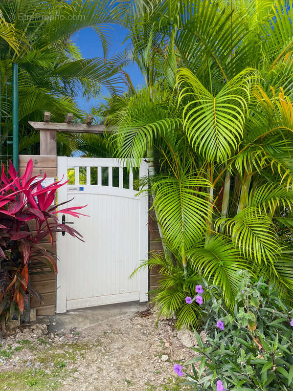 Appartement à SAINT-FRANCOIS