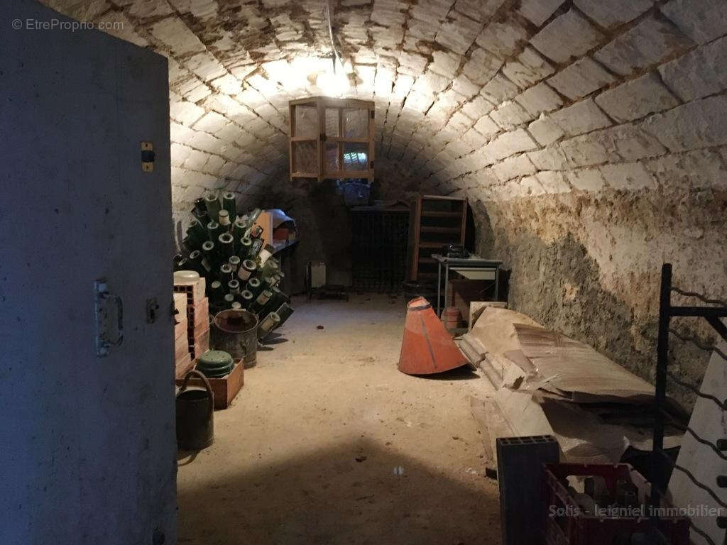 Grande maison entourée de son jardin de 5200m2 - photo 19