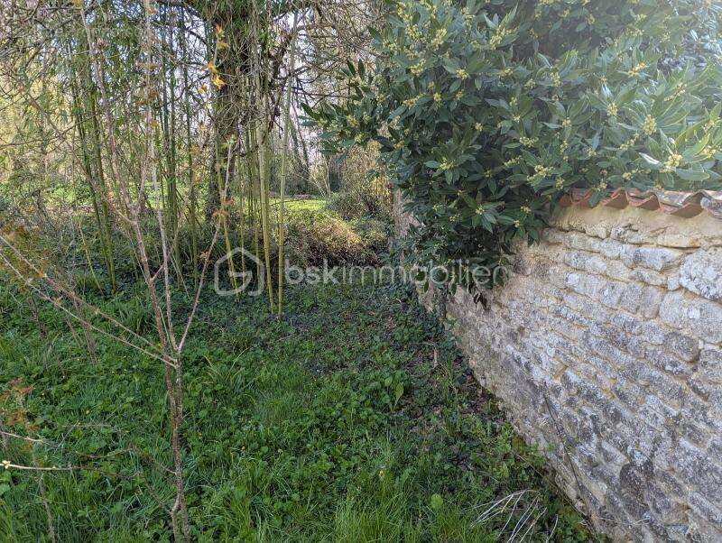 Maison de campagne - photo 3