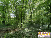 Terrain à FOUCHEROLLES