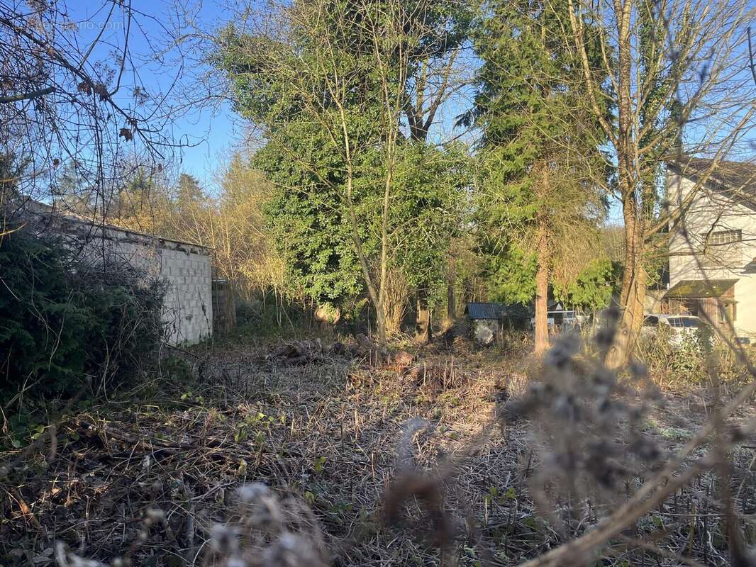 Terrain à MONTLIGNON