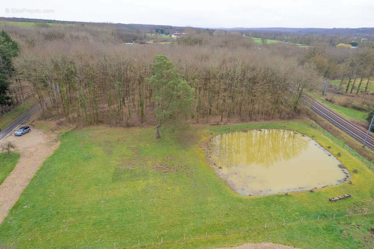 Terrain constructible - Thenioux, avec un étang - 4322 m²  - - photo 7