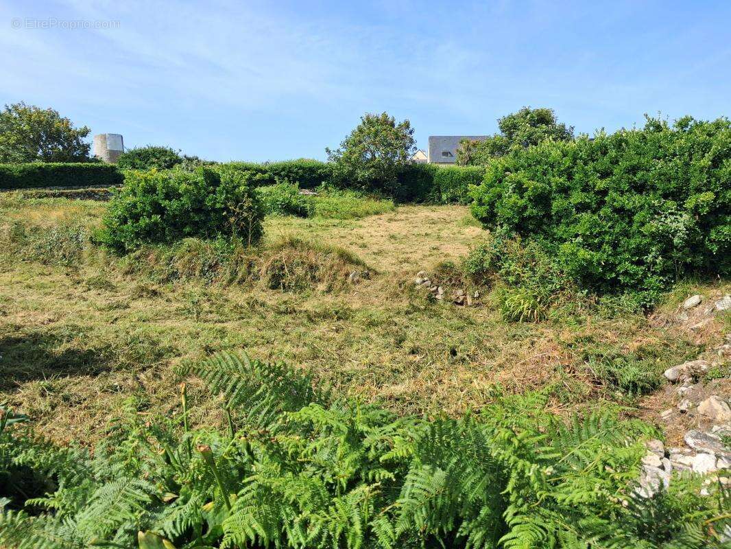 Terrain constructible - photo 2