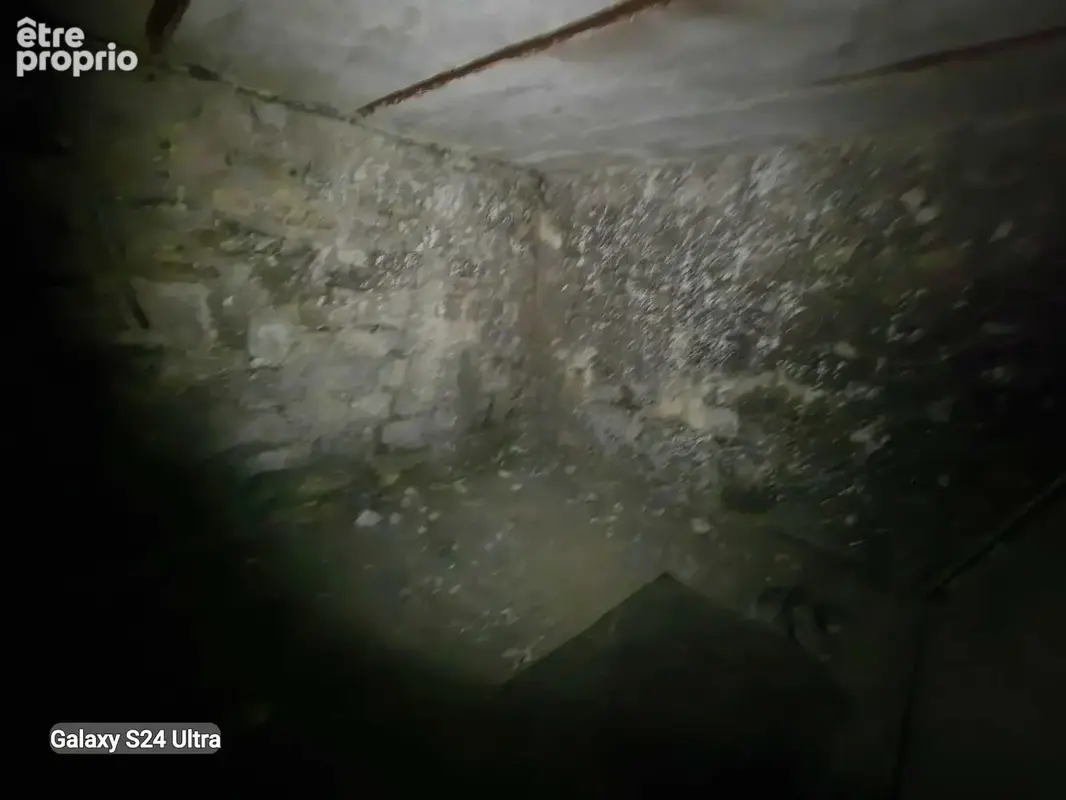 Cave Paris 15e - photo 12