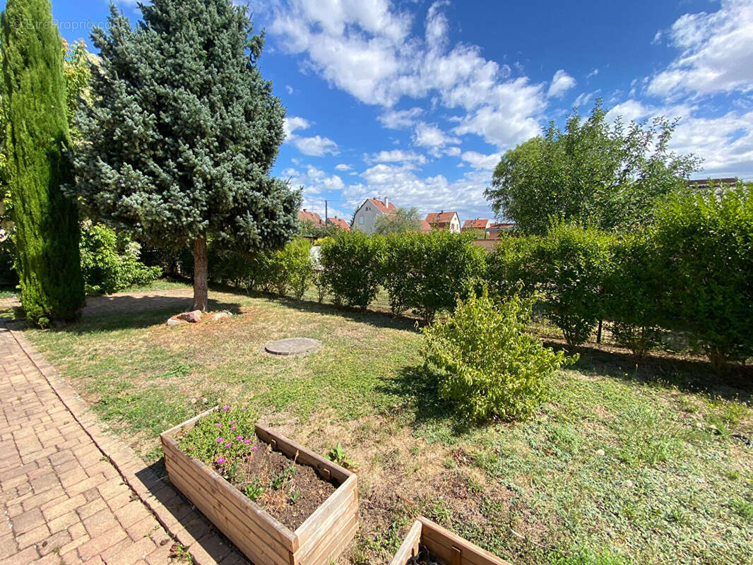 Maison cosy 4 pièces à vendre à Bollwiller, quartier calme- beau jardin avec espace terrasse - garage - photo 2