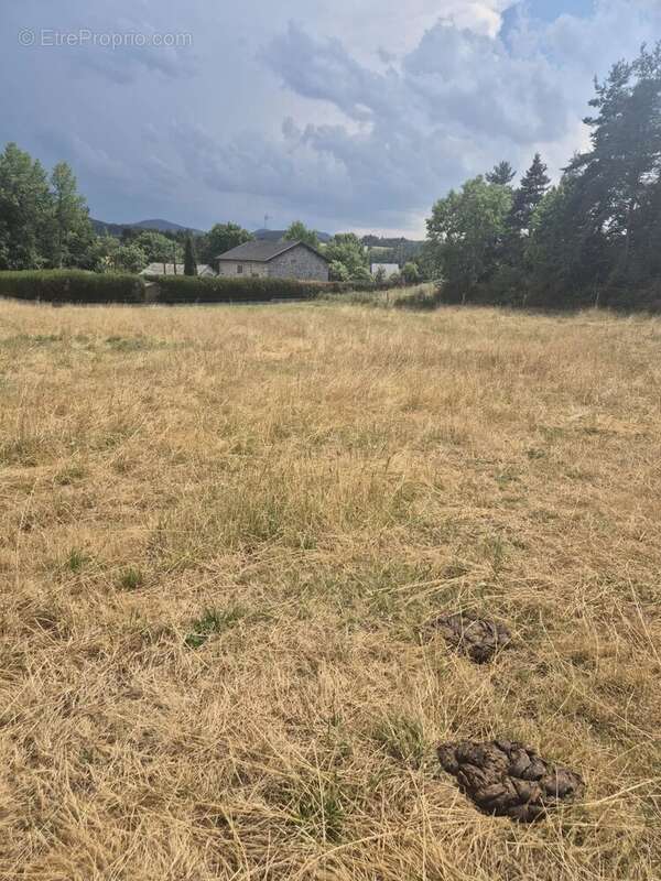 Terrain constructible à Saint Pierre Eynac - photo 3