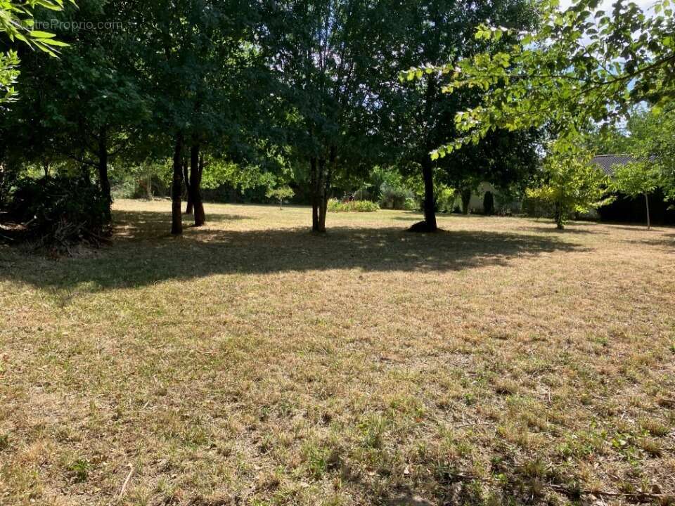 Terrain 1200 m² à Chaniers  - photo 3