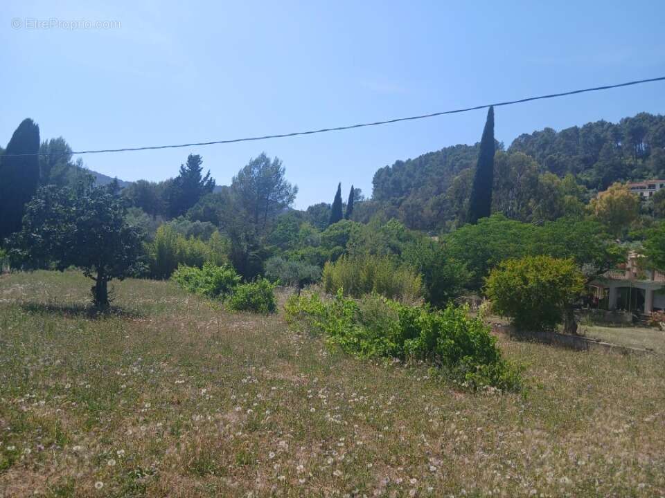 Terrain 501 m² à Sollies-Pont  - photo 3