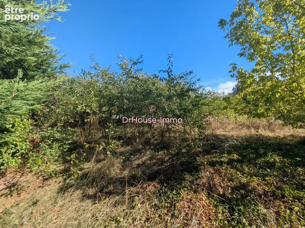 Terrain 582 m² à vendre à Epone (78680) - photo 5