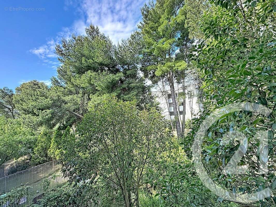Photo 7 - Appartement à MONTPELLIER