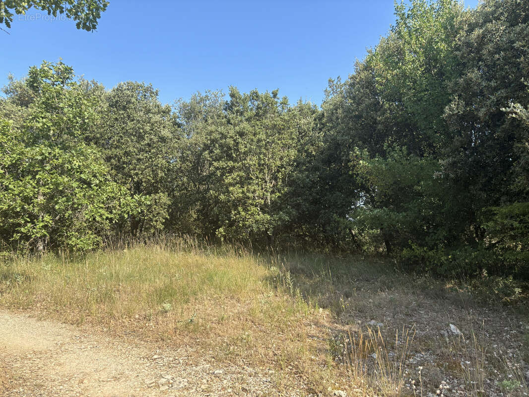 Terrain constructible 2000 m2 Saint-Martin-de-Pallières - photo 2