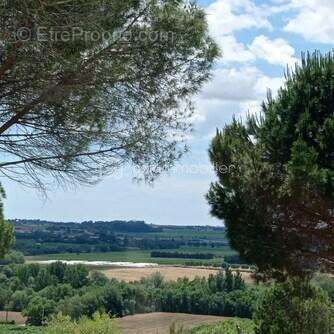 Mas, terrain agricole - photo 14