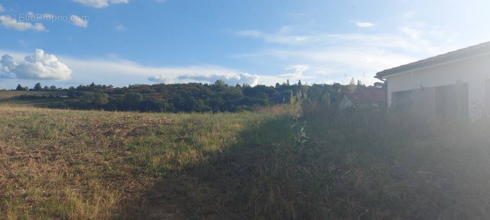 Terrain à SAINT-SULPICE-SUR-LEZE