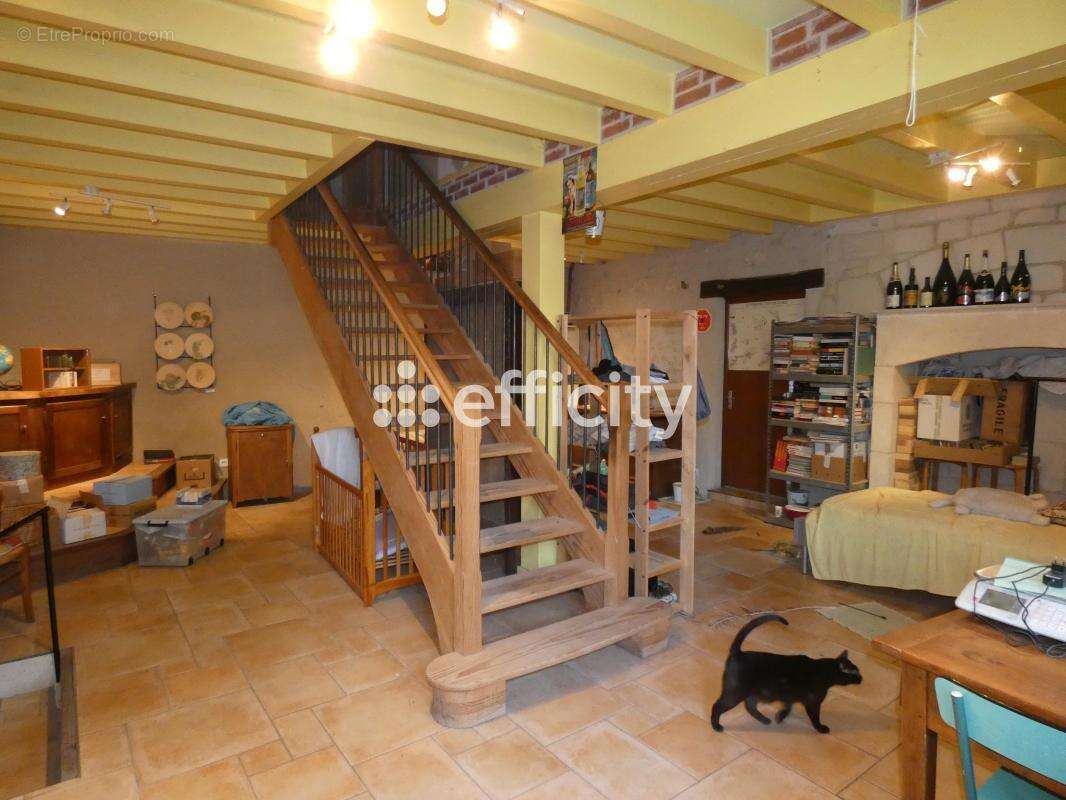 Maison 307 m² à Charroux  - photo 2