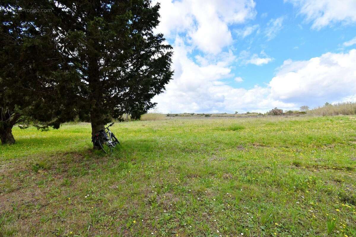 Photo 2 - Maison à MEZE