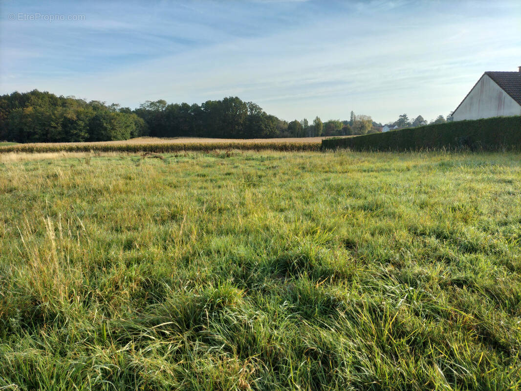 Photo Terrain à Sens au prix de 43 680€
