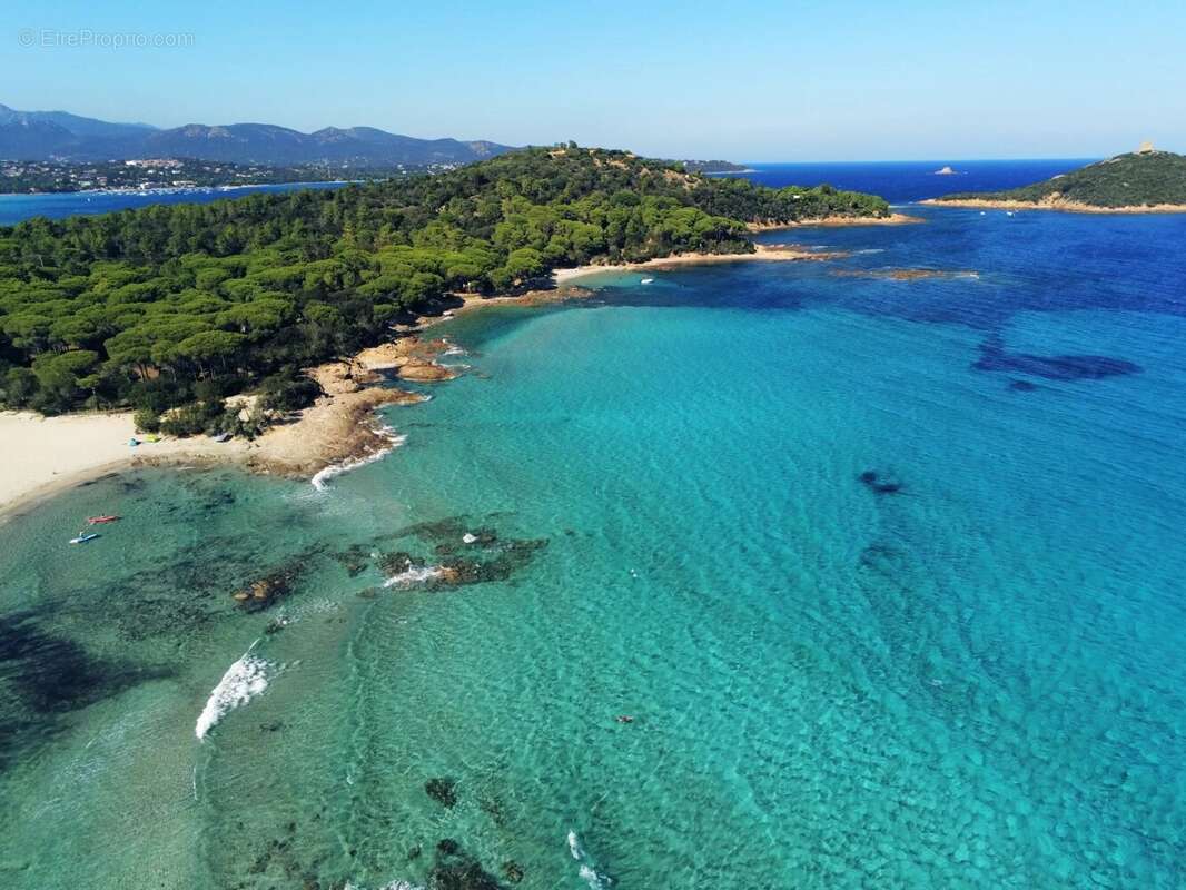 Maison à PORTO-VECCHIO