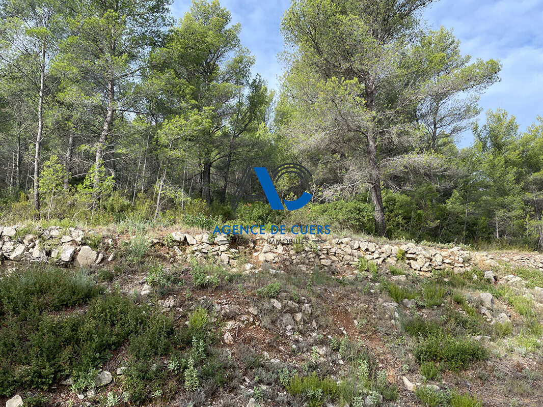 Terrain à SOLLIES-TOUCAS