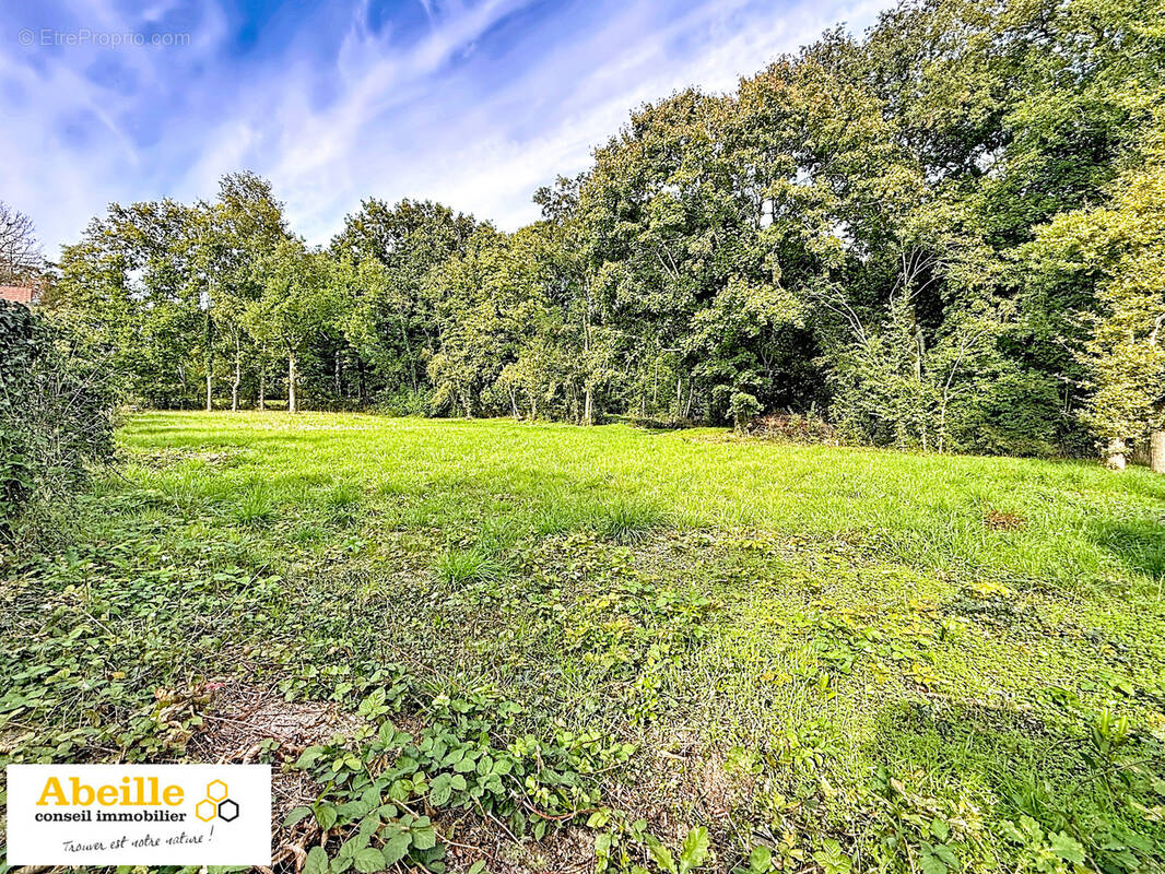 Terrain à SAINT-CHERON