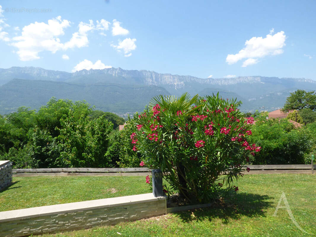 EXCLUSIVITE à GONCELIN Villa contemporaine de 130 m² sur terrain de 990 m² - photo 4
