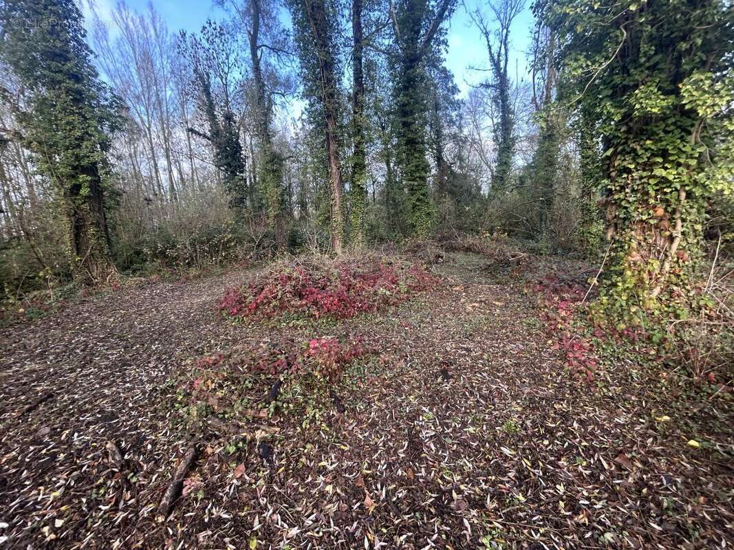 Terrain 2000 m² à Flines-Lez-Raches  - photo 8