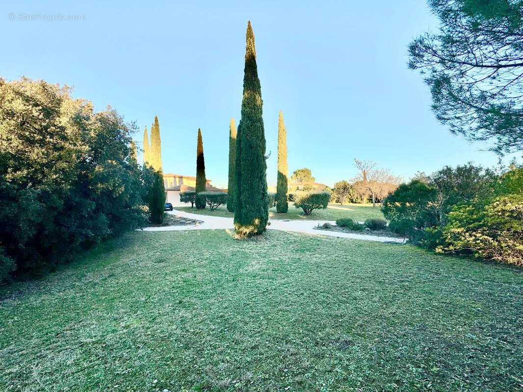 Terrain à LES MATELLES