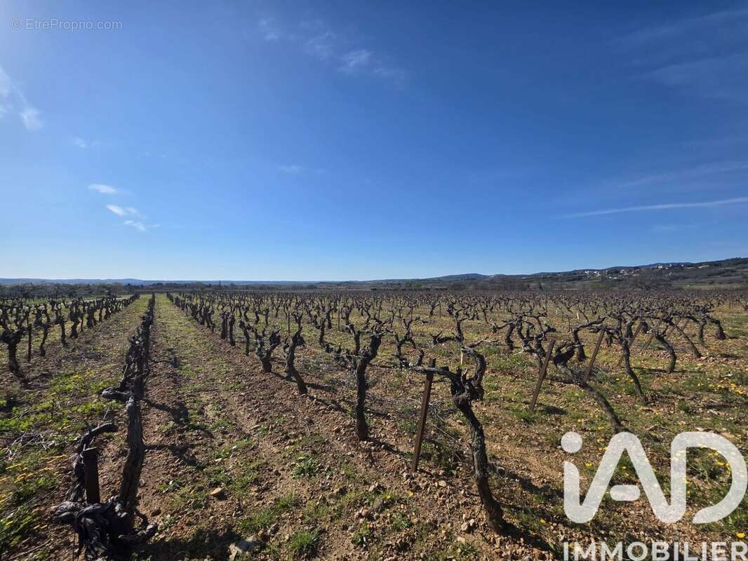 Terrain 7180 m² à Saint-Saturnin-De-Lucian  - photo 2