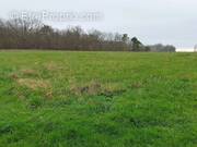 Terrain à SAINTE-COLOMBE