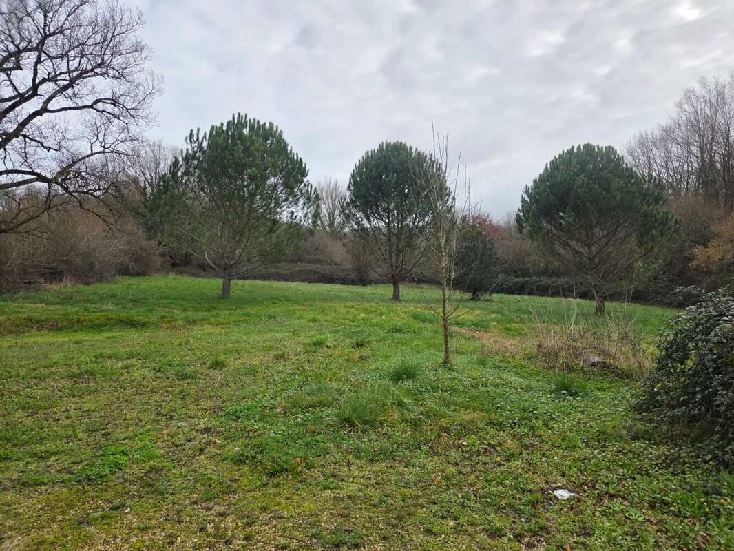 Maison à MONTRICOUX