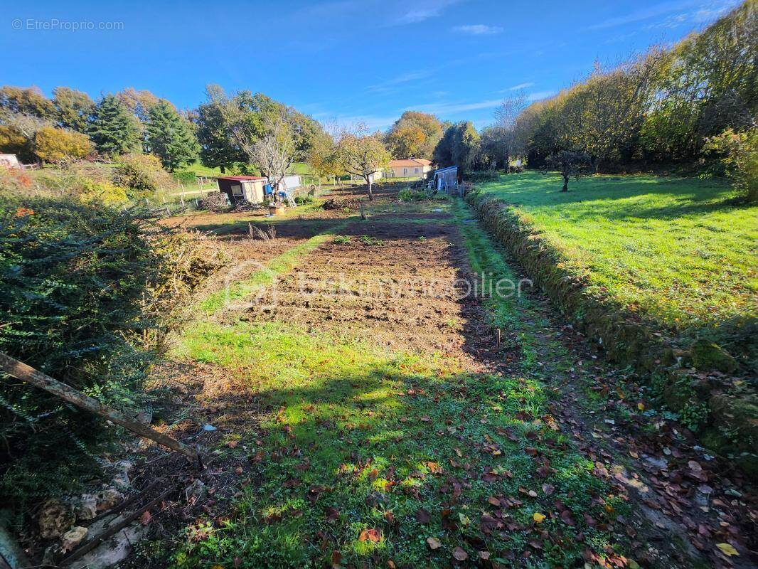 Terrain à JAZENEUIL