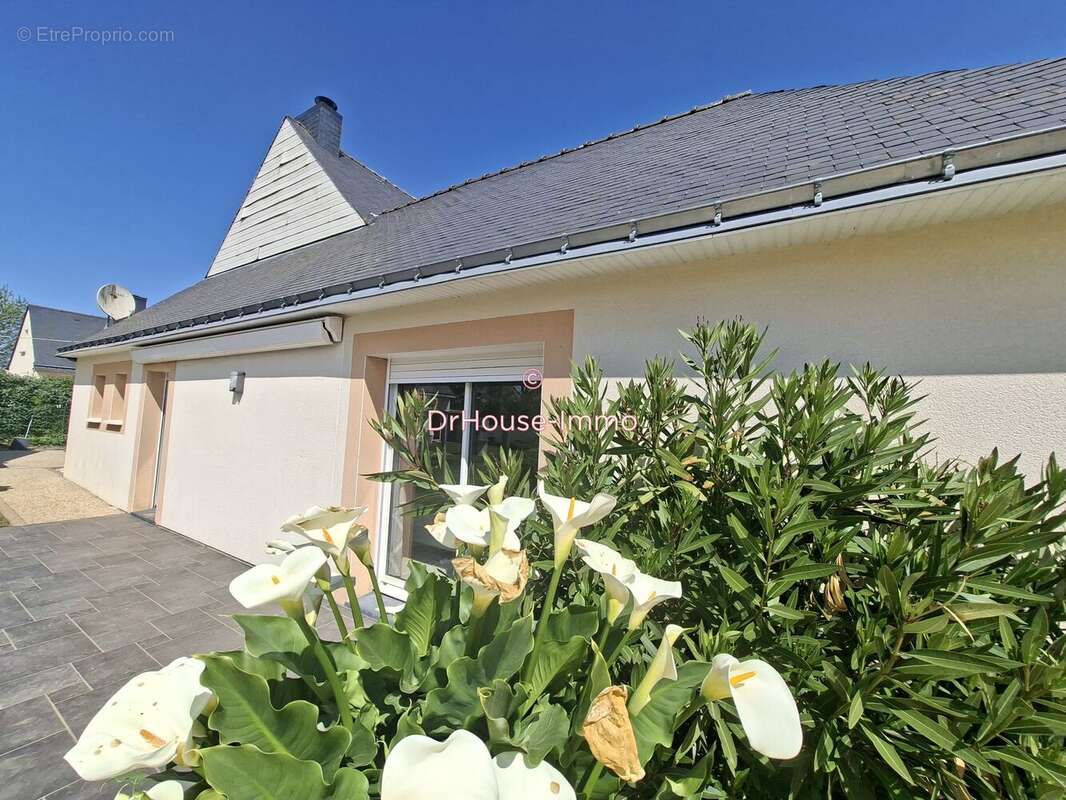 Maison à ROHAN