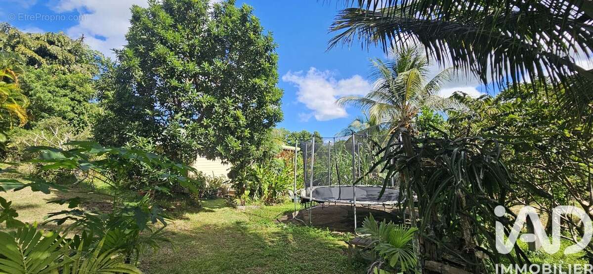 Photo 3 - Maison à SAINTE-ANNE