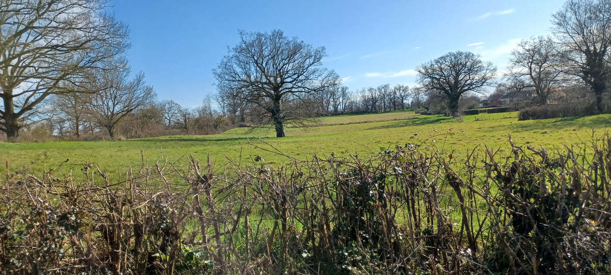 Terrain à LIMOISE