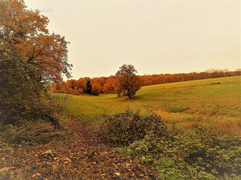 Maison à VALENCE-D&#039;ALBIGEOIS