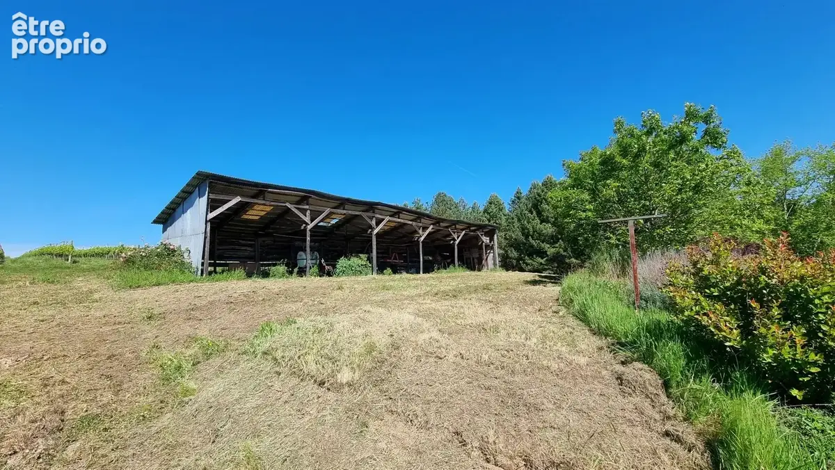 Maison en pierre avec dépendances et 4,8 hectares — Gros potentiel entre Monségur et La Réole - photo 11