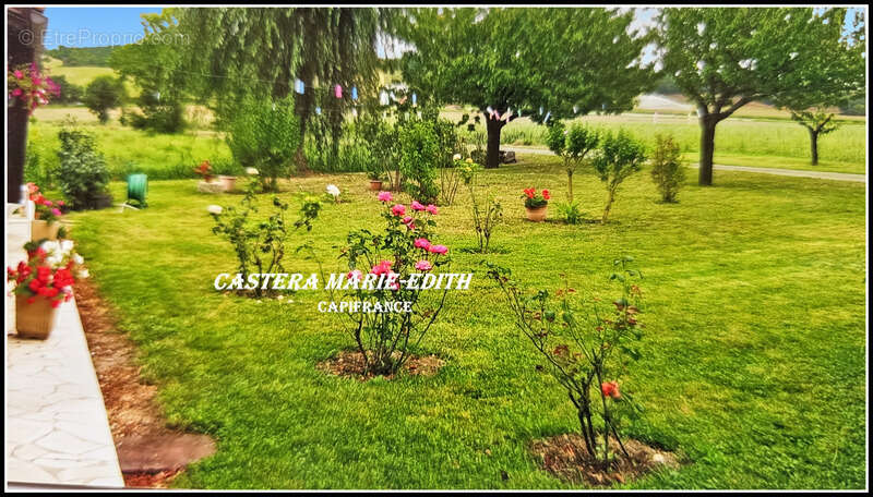 Propriete à BARRAN (GERS) AVEC MAISON GASCONNE EN PIERRES- 160 m² hab- sur 2,6 hectares + dépendances +PUITS - photo 9