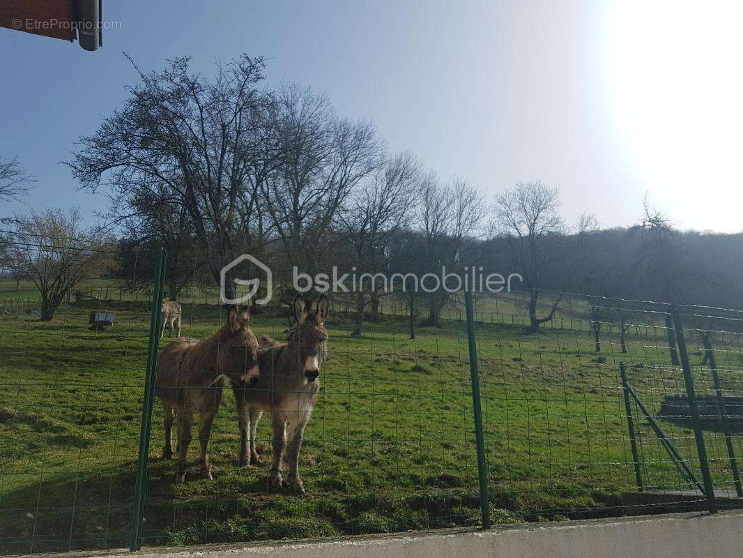 Maison à CHARAVINES