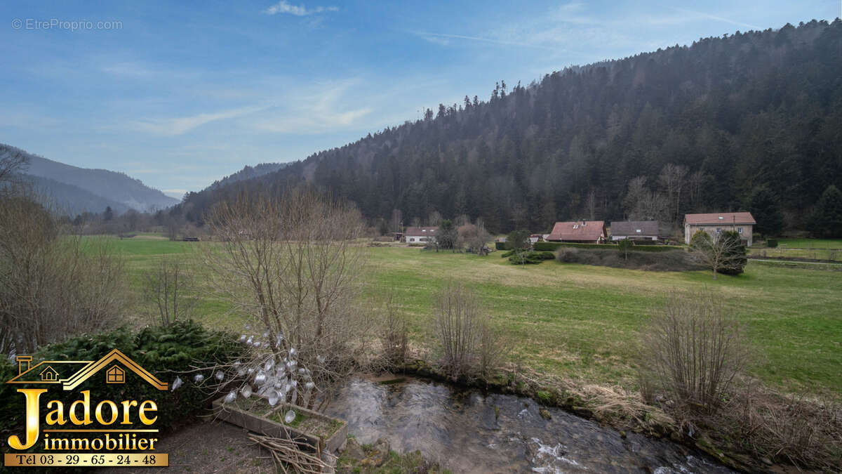 Commerce à PLAINFAING