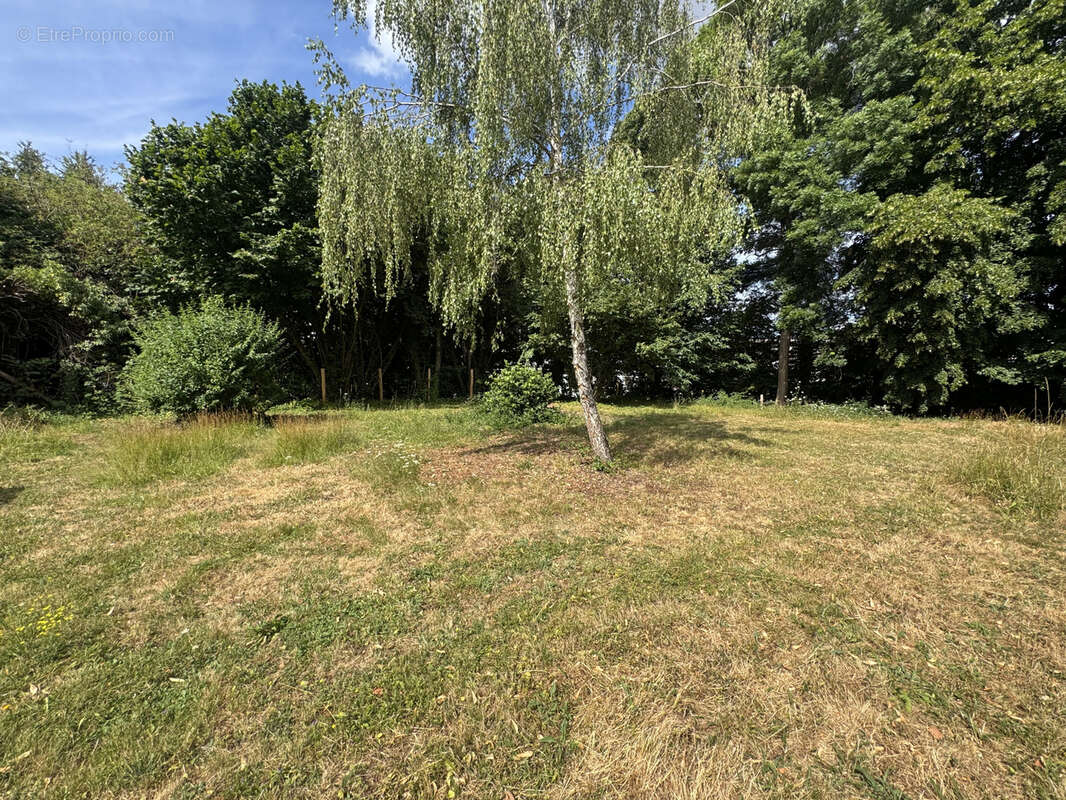 Ensemble immobilier à LIMOGES comprenant deux maisons (une louée et une vide) sur une belle parcelle de 840 m2. - photo 5