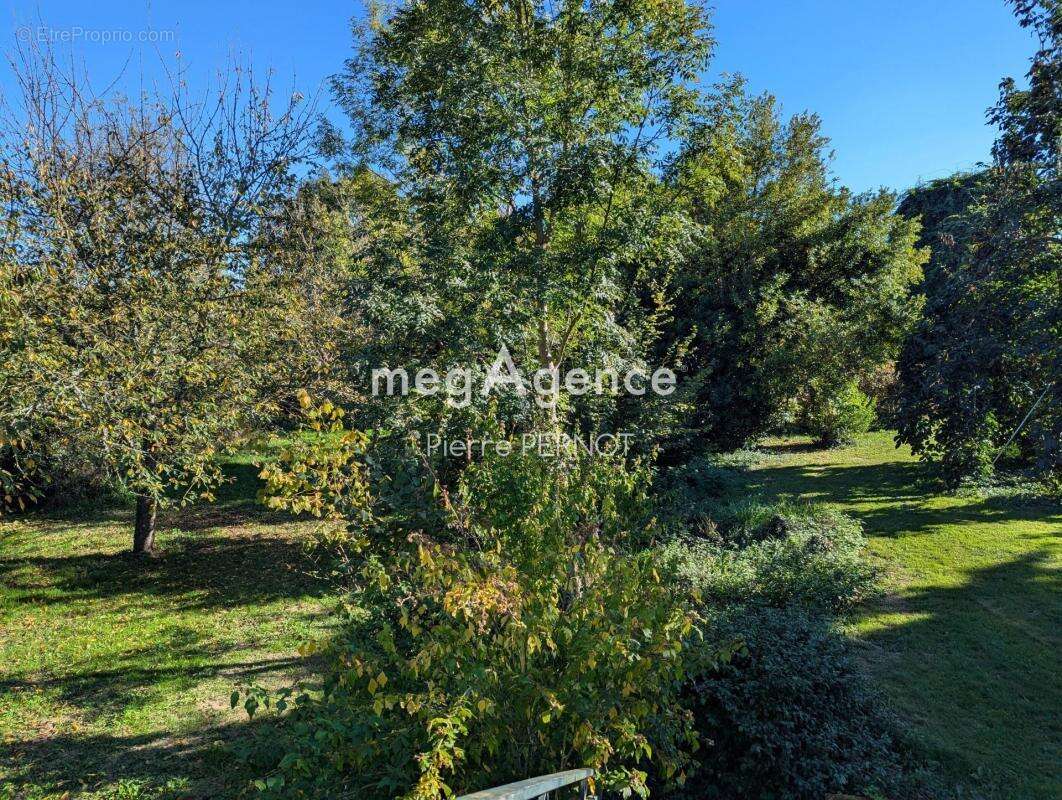 Maison à CORDES-SUR-CIEL