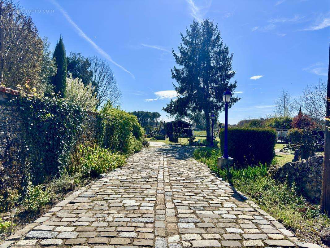 Maison 260 m² à Saint-Selve  - photo 11