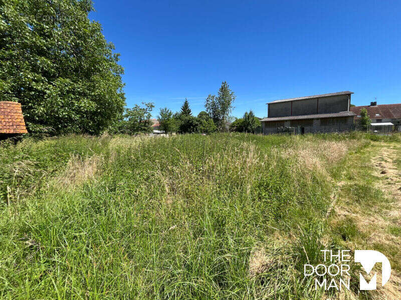 Propriété 52400 - photo 22